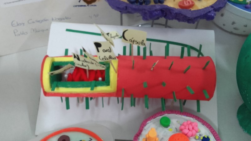 20170426 095206 [800x600]